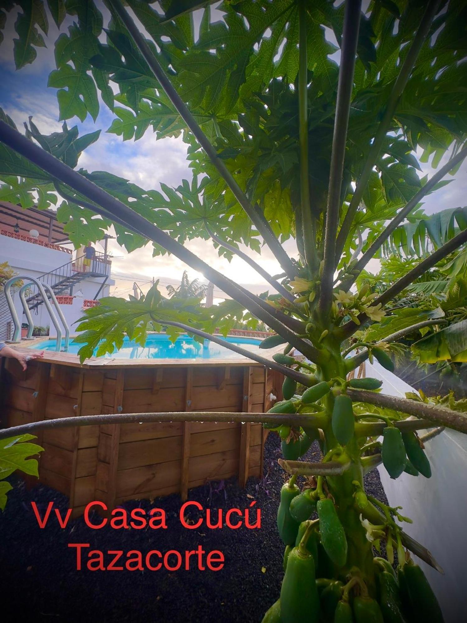Casa Cucu Villa Tazacorte Luaran gambar