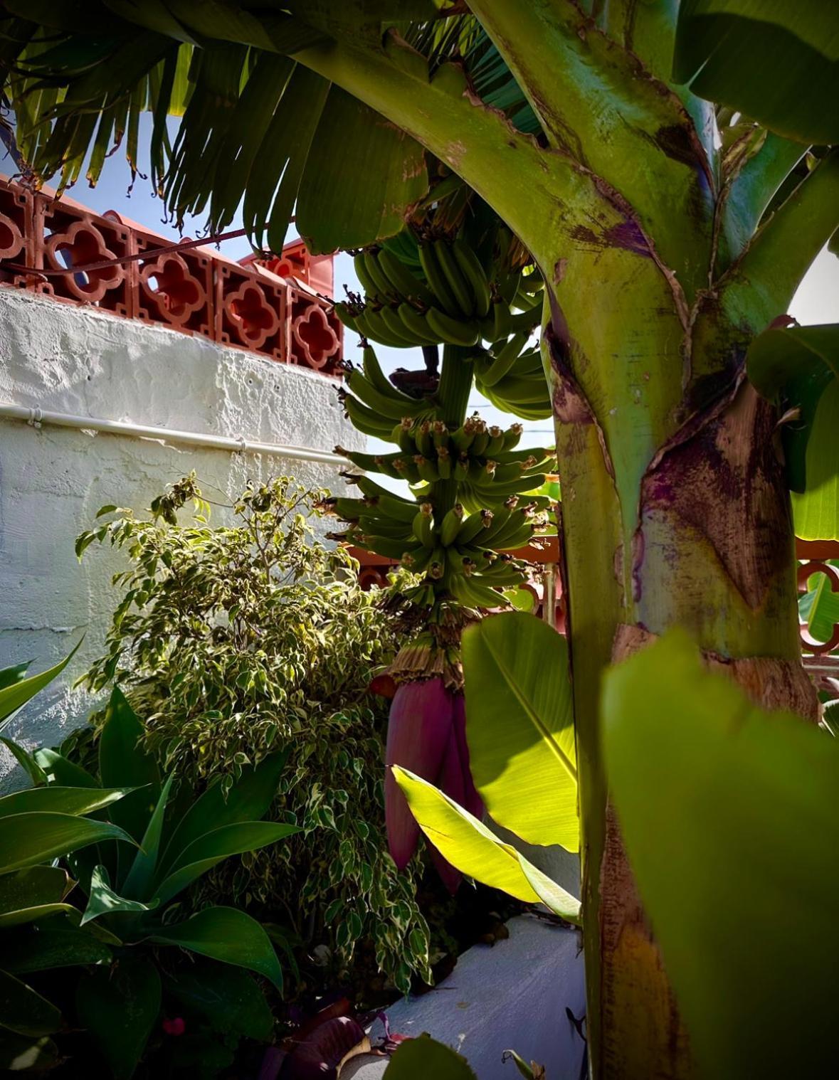 Casa Cucu Villa Tazacorte Luaran gambar